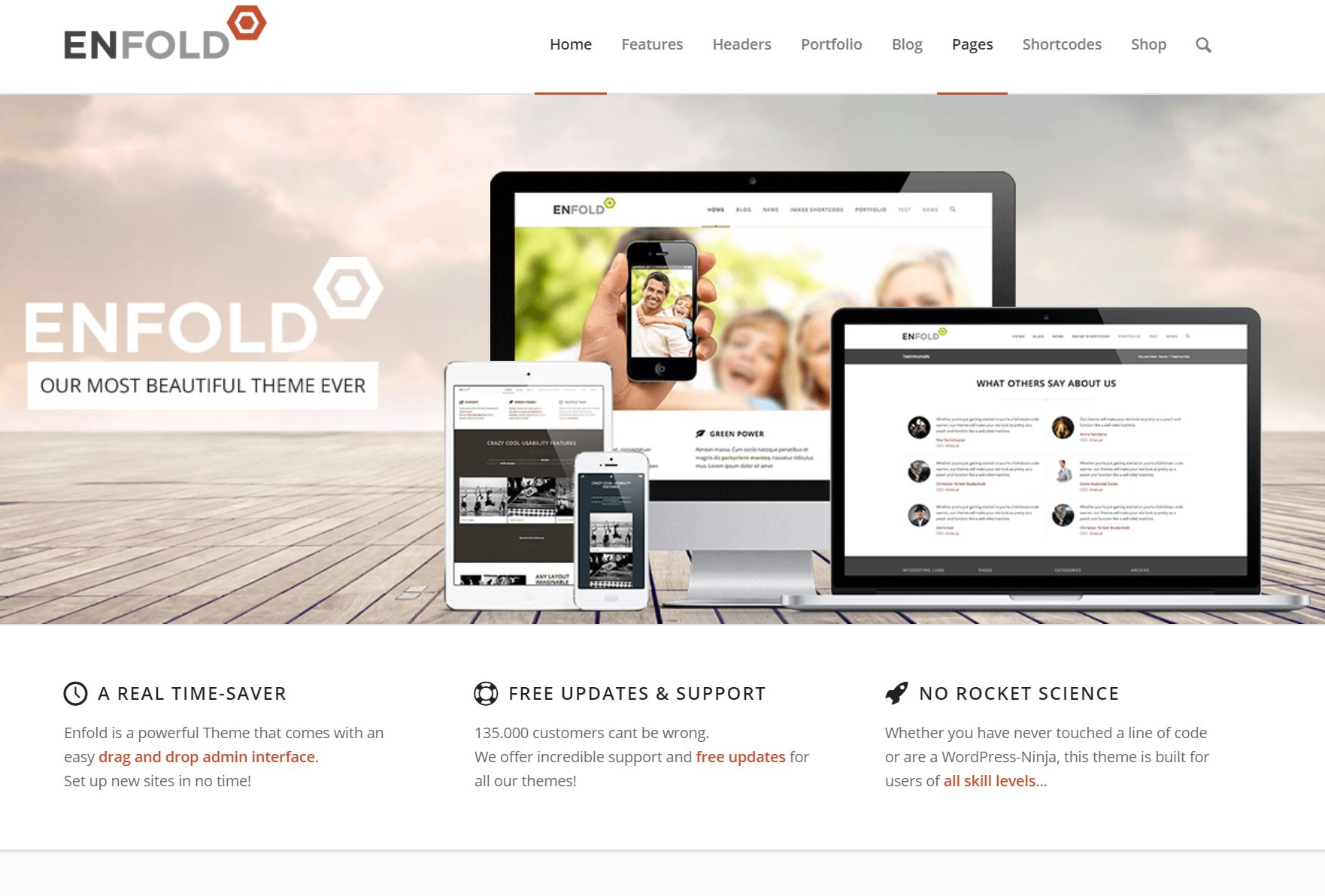 Enfold Theme Review: The Best Schema WordPress Theme